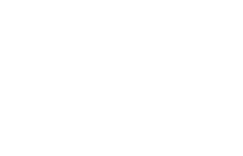 Pearson Smith Logo white